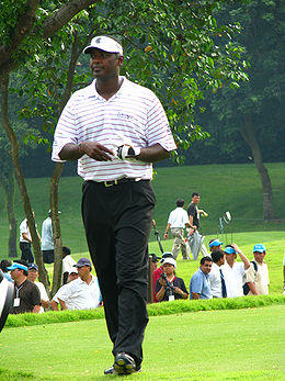 Vijay Singh.jpg