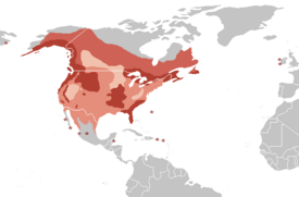 Bald Eagle range  �����Breeding resident �����Breeding summer visitor,  �����Winter visitor �����On migration only Star: accidental records