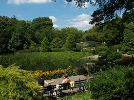 The Pond looking North