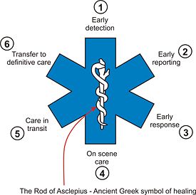 6 points on the Star of Life