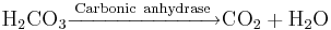 \mathrm{H_2CO_3 \xrightarrow{Carbonic\ anhydrase}
CO_2 + H_2O}