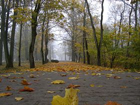 Herbstnebel.jpg