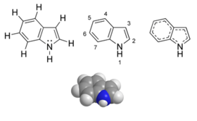 Chemical structure of indole