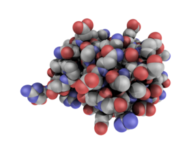 Ubiquitin spheres.png