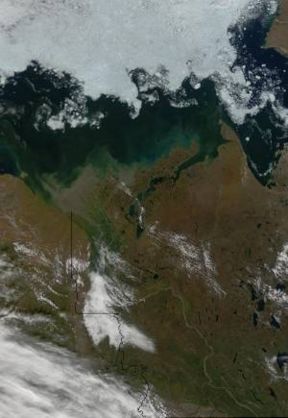 The lower Mackenzie River at the end of August. Source: NASA.