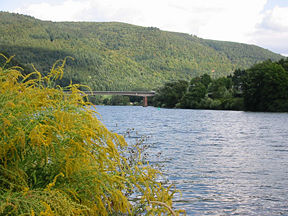 Neckar river near Heidelberg.