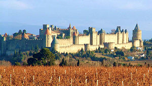 Carcassonne-vignes.jpg