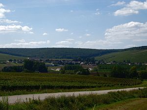 Chablis and Premier Cru Vaulorent.jpg