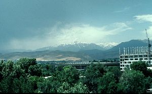 Looking north across the city