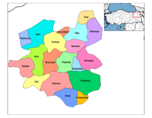 Erzurum districts.png