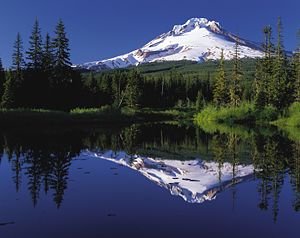 MtHood TrilliumLake.jpg