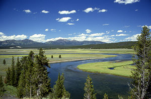 Yellowstone River in Hayden Valley.jpg