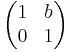 \begin{pmatrix} 1 & b \\ 0 & 1 \end{pmatrix}