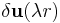 \delta \mathbf{u}(\lambda r)