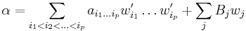 \alpha = \sum_{i_1<i_2<\dots<i_p} a_{i_1\dots i_p}w_{i_1}^\prime\dots w_{i_p}^\prime + \sum_j B_jw_j