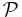 \mathcal{P}