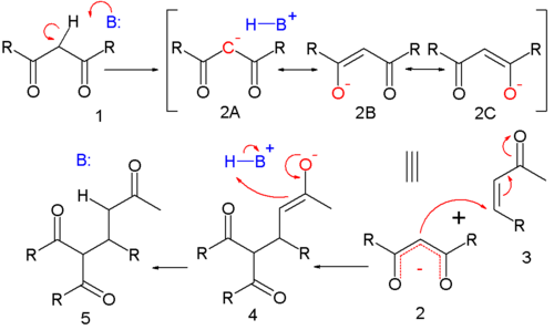 Michael reaction mechanism