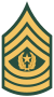 US Army E-9 CSM.svg