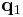 \mathbf{q}_{1}