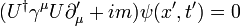 ( U^\dagger \gamma^\mu U\partial_\mu^\prime + im)\psi(x^\prime,t^\prime) = 0