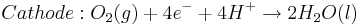 Cathode: O_{2}(g)+ 4e^{-} + 4 H^{+}\rightarrow 2H_{2}O(l)\,