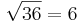 \sqrt{36} = 6