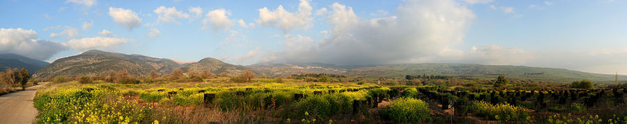 Panoramic view of the Golan Heights, with the Hermon mountains on the left side, taken from Snir