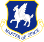 50th Space Wing.png