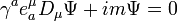 \gamma^a e_a^\mu D_\mu \Psi + i m \Psi = 0