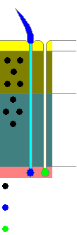 Structure of arthropod cuticle[14]