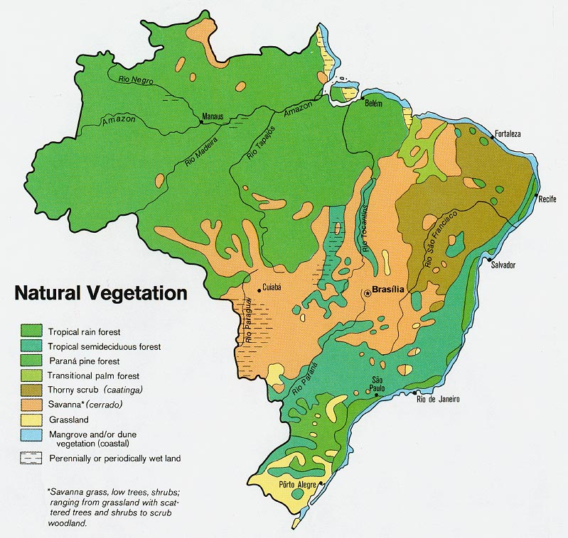 Natural vegetation map of Brazil, 1977