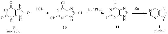 FischerPurineSynthesis.gif