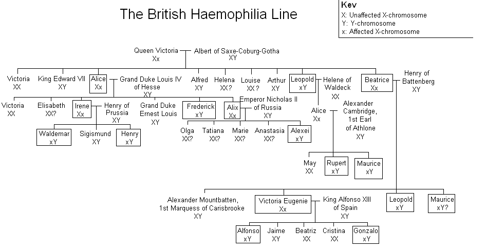 Haemophilia family tree.GIF