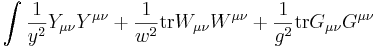 \int {1\over y^2} Y_{\mu\nu} Y^{\mu\nu} + {1\over w^2}\mathrm{tr} W_{\mu\nu}W^{\mu\nu} + {1\over g^2} \mathrm{tr}G_{\mu\nu} G^{\mu\nu}