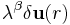 \lambda^{\beta}\delta \mathbf{u}(r)