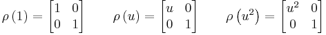 
\rho \left( 1 \right) =
\begin{bmatrix}
1 & 0 \\
0 & 1 \\
\end{bmatrix}
\qquad
\rho \left( u \right) =
\begin{bmatrix}
u & 0 \\
0 & 1 \\
\end{bmatrix}
\qquad
\rho \left( u^2 \right) =
\begin{bmatrix}
u^2 & 0 \\
0 & 1 \\
\end{bmatrix}
