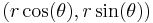 (r\cos(\theta),r\sin(\theta))\,