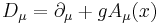 \ D_\mu = \partial_\mu + g A_\mu(x) 