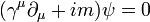 (\gamma^\mu\partial_\mu + im) \psi = 0\,