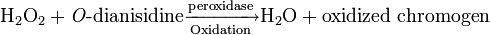 \mathrm{H_{2}O_2} + \textrm{\textit{O}-dianisidine}\xrightarrow[\mathrm{Oxidation}] {\mathrm{peroxidase}} \mathrm{H_2O} + \mathrm{oxidized\ chromogen}