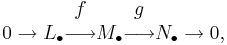  0\rightarrow L_\bullet \begin{matrix} f \\ \longrightarrow \\ \, \end{matrix} M_\bullet \begin{matrix} g \\ \longrightarrow \\ \, \end{matrix} N_\bullet \rightarrow 0,