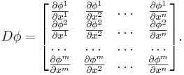 D\phi = \begin{bmatrix}
\frac{\partial\phi^1}{\partial x^1}&\frac{\partial\phi^1}{\partial x^2}&\dots&\frac{\partial\phi^1}{\partial x^n}\\
\frac{\partial\phi^2}{\partial x^1}&\frac{\partial\phi^2}{\partial x^2}&\dots&\frac{\partial\phi^2}{\partial x^n}\\
\dots&\dots&\dots&\dots\\
\frac{\partial\phi^m}{\partial x^m}&\frac{\partial\phi^m}{\partial x^2}&\dots&\frac{\partial\phi^m}{\partial x^n}\\
\end{bmatrix}.
