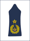 Lebarmyltcolonelrank.png