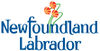 Logo-NFLD.jpg