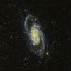 NGC 2903 GALEX.jpg