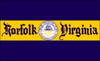 Norfolk flag.png