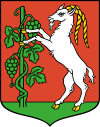 POL Lublin COA 1.svg