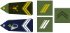 Career sergeant (top�: infantry, bottom�: chasseurs alpins)