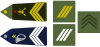 Chief Sergeant (top�: Infantry, bottom�: chasseurs alpins)