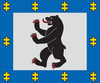 Siauliai County flag.png